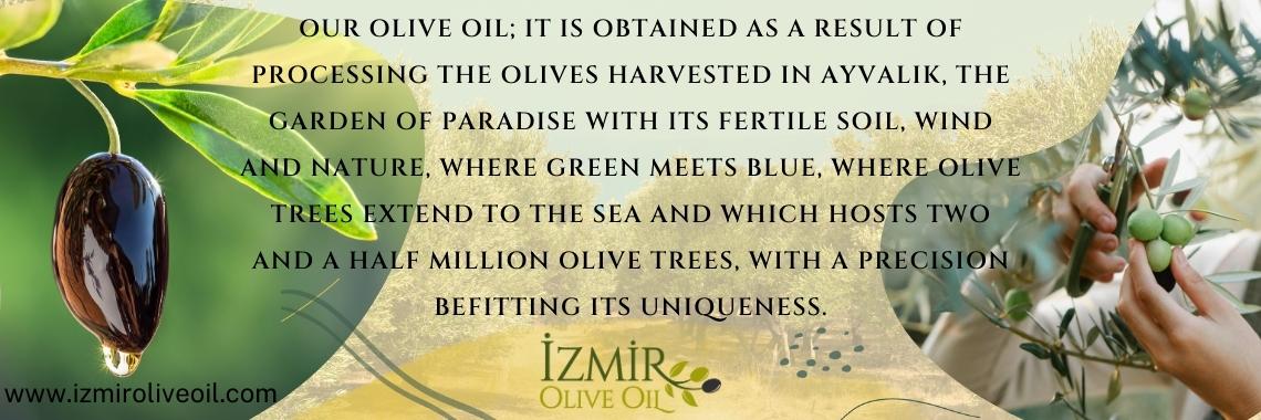 İzmir Olive Oil